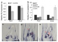 Thumbnail for version as of 05:33, 7 June 2014