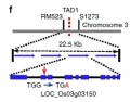 Thumbnail for version as of 11:26, 8 June 2014