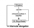 Thumbnail for version as of 06:05, 6 June 2014