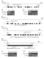 Thumbnail for version as of 03:55, 30 May 2014