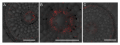 Thumbnail for version as of 07:50, 30 July 2016