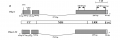 Thumbnail for version as of 02:10, 6 June 2014