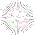 Thumbnail for version as of 14:41, 6 June 2014