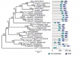 Thumbnail for version as of 16:00, 23 May 2014