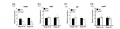 Thumbnail for version as of 13:17, 23 May 2014