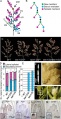 Thumbnail for version as of 03:52, 30 May 2014