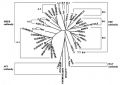 Thumbnail for version as of 07:15, 7 June 2014