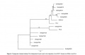 Thumbnail for version as of 16:09, 14 May 2014