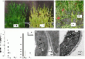 Thumbnail for version as of 14:06, 26 December 2014