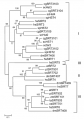Thumbnail for version as of 04:47, 26 May 2014