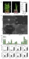 Thumbnail for version as of 01:33, 1 June 2014