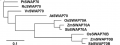 Thumbnail for version as of 00:53, 7 June 2014