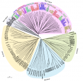 Thumbnail for version as of 08:05, 6 June 2014