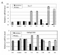 Thumbnail for version as of 13:45, 6 June 2014