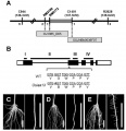 Thumbnail for version as of 00:53, 11 June 2014