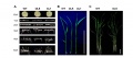 Thumbnail for version as of 15:40, 6 June 2014