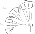 Thumbnail for version as of 02:00, 24 March 2015