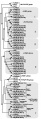 Thumbnail for version as of 12:15, 4 June 2014