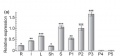 Thumbnail for version as of 05:26, 2 June 2014
