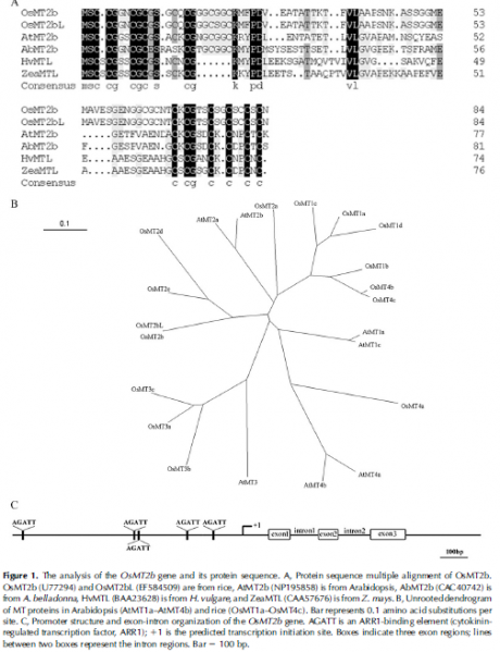 File:S1.png