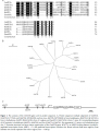 Thumbnail for version as of 16:40, 9 June 2014