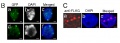 Thumbnail for version as of 12:10, 4 June 2014