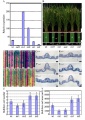 Thumbnail for version as of 16:28, 30 May 2014