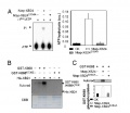 Thumbnail for version as of 14:17, 5 June 2014