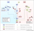 Thumbnail for version as of 11:41, 23 May 2014
