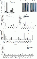 Thumbnail for version as of 06:22, 26 December 2014