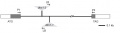 Thumbnail for version as of 12:57, 23 May 2014