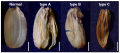 Thumbnail for version as of 10:30, 4 June 2014