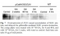 Thumbnail for version as of 16:36, 10 June 2014