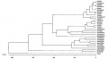 Thumbnail for version as of 09:09, 22 May 2014