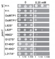 Thumbnail for version as of 08:12, 3 June 2014