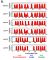 Thumbnail for version as of 05:53, 12 June 2016