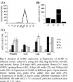 Thumbnail for version as of 07:52, 25 June 2014