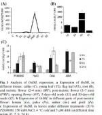 Fig.1.jpg