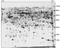 Thumbnail for version as of 13:18, 22 June 2016