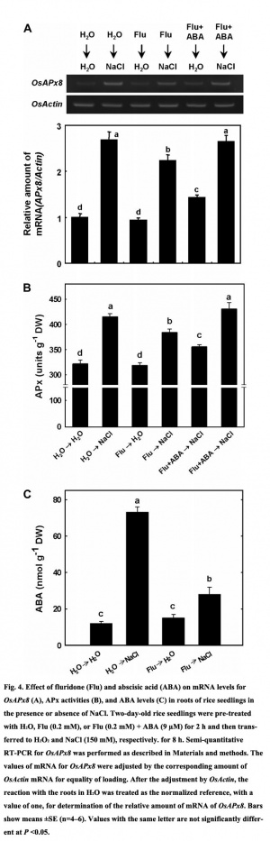 Figure 4. Expression(from reference) [2].