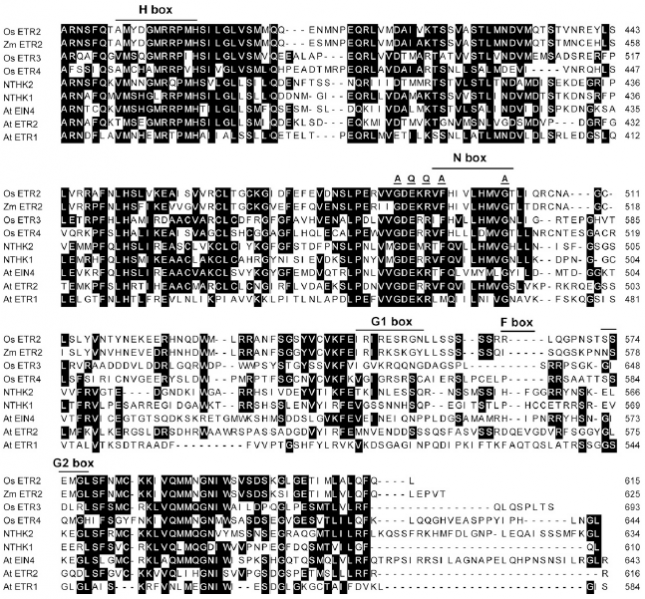 File:Os04g0169100-1.png