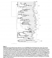Thumbnail for version as of 04:47, 10 June 2014