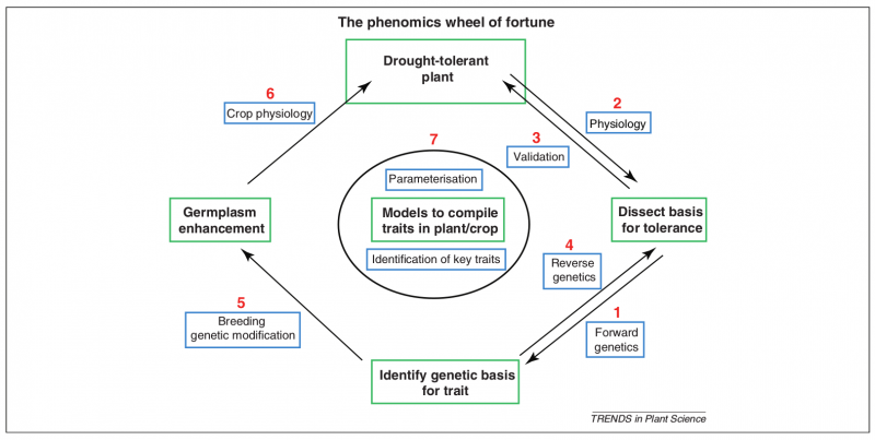 File:IC4R-Phenomics-overview-2.png