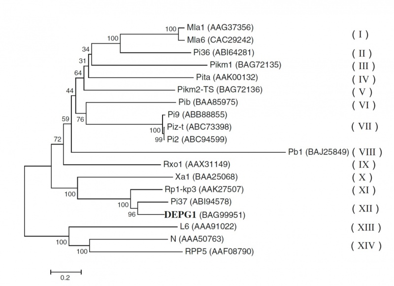 File:Os05g0365300 Figure3.jpg