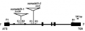 Thumbnail for version as of 10:47, 23 May 2014