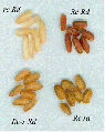 Thumbnail for version as of 08:41, 29 May 2014