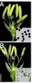 Thumbnail for version as of 14:49, 27 May 2014
