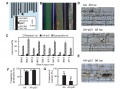 Thumbnail for version as of 07:25, 23 May 2014