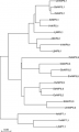 Thumbnail for version as of 05:52, 27 December 2014