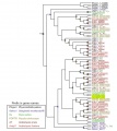 Thumbnail for version as of 06:30, 20 May 2014